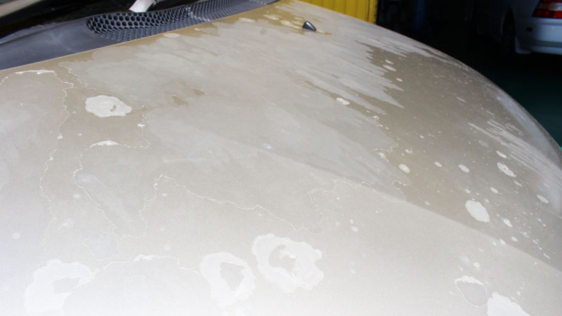 車の塗装面に発生する水ぶくれの原因と対処法について Kurumablog